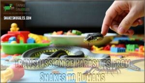 transmission of parasites from snakes to humans