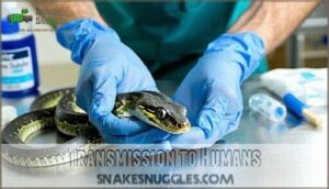 transmission to humans