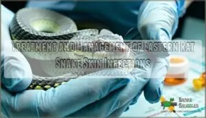treatment and management of eastern rat snake skin infections treatment and management of eastern rat snake skin infections