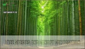 tree species and canopy composition