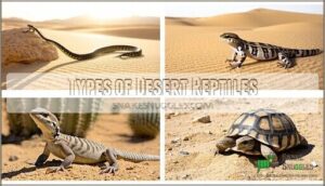 types of desert reptiles