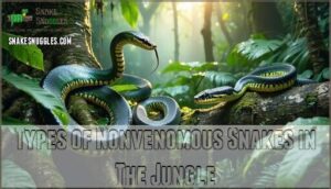 types of nonvenomous snakes in the jungle