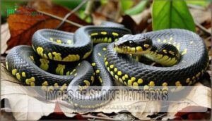 types of snake patterns