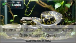 underfeeding can result in malnourishment and reduced immune function