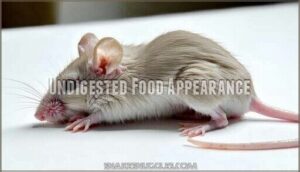undigested food appearance
