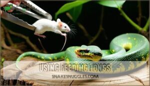 using feeding tongs