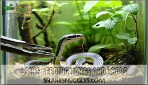 using feeding tongs and tools