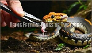 using feeding tongs or tweezers