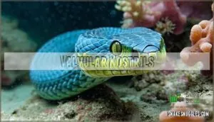 valvular nostrils valvular nostrils