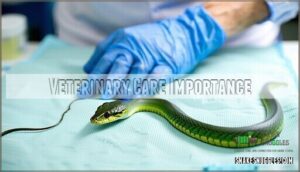 veterinary care importance
