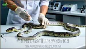 veterinary intervention
