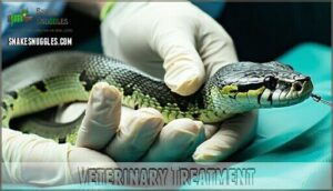 veterinary treatment