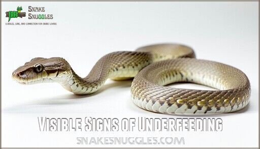 What to Do if My Snake Won't Eat: 9 Proven Solutions That Work