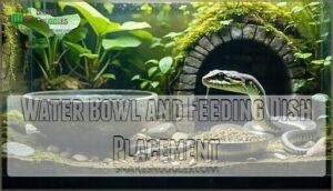 water bowl and feeding dish placement