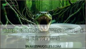 water moccasins and cottonmouths can bite underwater