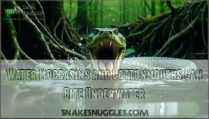 water moccasins and cottonmouths can bite underwater water moccasins and cottonmouths can bite underwater