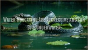 water moccasins are aggressive and can bite underwater
