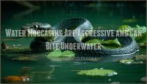 water moccasins are aggressive and can bite underwater water moccasins are aggressive and can bite underwater