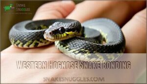 western hognose snake bonding