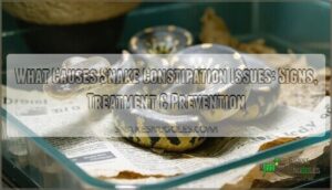 what causes snake constipation issues