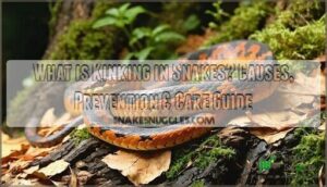 what is kinking in snakes