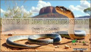 what is the most venomous snake in the world