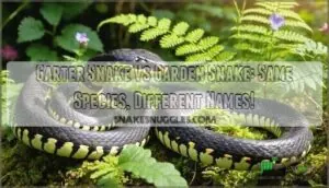 whats the difference between a garden snake and a garter snake whats the difference between a garden snake and a garter snake
