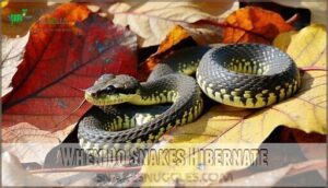 when do snakes hibernate