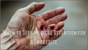 when to seek medical attention for a snakebite