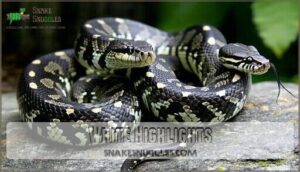 white highlights