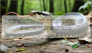 why do snakes have forked tongues