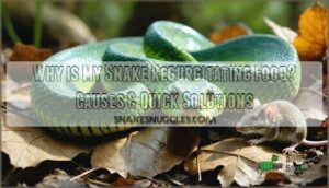 why is my snake regurgitating food