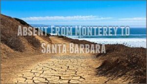absent from monterey to santa barbara