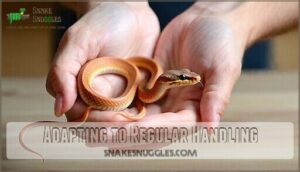 adapting to regular handling