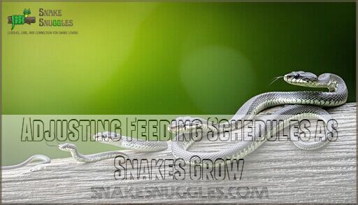 View of Snake Feeding Size Chart: Complete Guide by Age & Species 2025