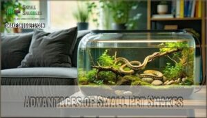 advantages of small pet snakes
