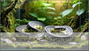 allowing digestive recovery time