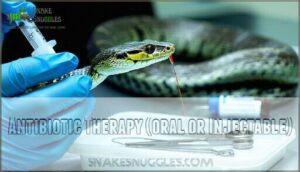 antibiotic therapy (oral or injectable)