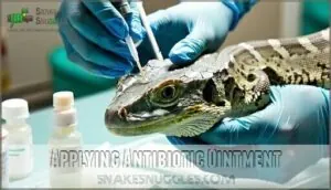 applying antibiotic ointment applying antibiotic ointment