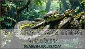 arboreal adaptations for rainforest canopy living arboreal adaptations for rainforest canopy living