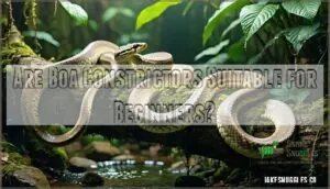 are boa constrictors suitable for beginners are boa constrictors suitable for beginners