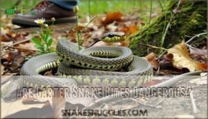 are garter snake bites dangerous