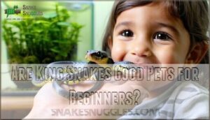 are king snakes good pets for beginners