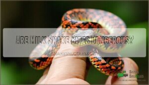 are milk snake bites dangerous