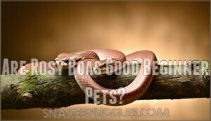 are rosy boas good beginner pets