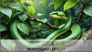 asian vine snake