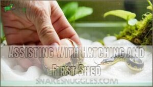 assisting with hatching and first shed