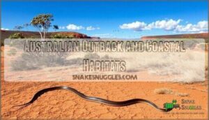 australian outback and coastal habitats