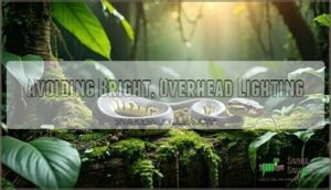 avoiding bright, overhead lighting