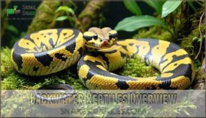 backwater reptiles overview